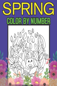 Spring Color By Number