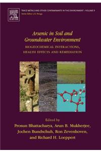 Arsenic in Soil and Groundwater Environment