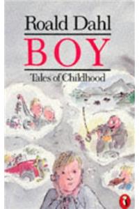 Boy: Tales of Childhood (Puffin Story Books)