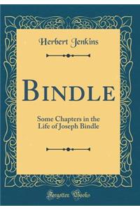 Bindle: Some Chapters in the Life of Joseph Bindle (Classic Reprint)