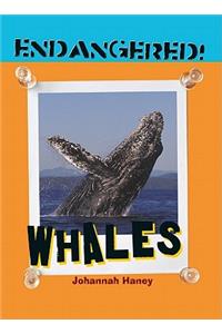 Whales