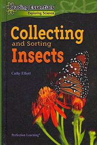 Collecting/Sorting Insects