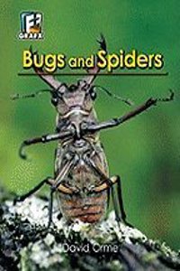 Bugs and Spiders