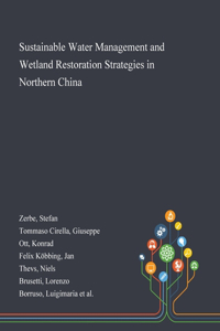 Sustainable Water Management and Wetland Restoration Strategies in Northern China