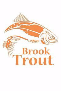 Brook Trout