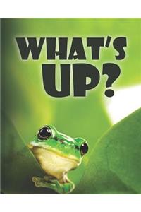 What's Up?