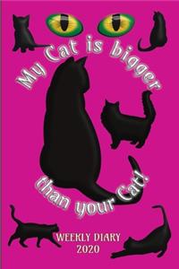 My Cat is bigger than your Cat! - Weekly Diary 2020