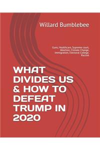 What Divides Us & How to Defeat Trump in 2020