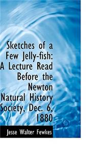 Sketches of a Few Jelly-fish: A Lecture Read Before the Newton Natural History Society, Dec. 6, 1880