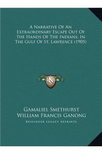 Narrative Of An Extraordinary Escape Out Of The Hands Of The Indians, In The Gulf Of St. Lawrence (1905)