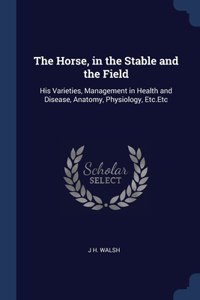 Horse, in the Stable and the Field