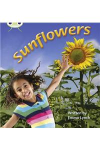 Bug Club Phonics - Phase 5 Unit 20: Sunflowers