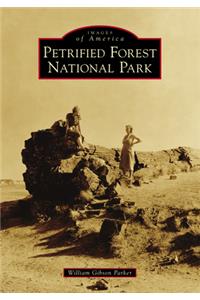 Petrified Forest National Park