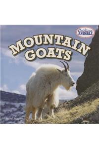 Mountain Goats