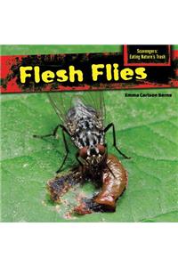 Flesh Flies
