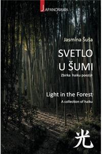Light in the Forest