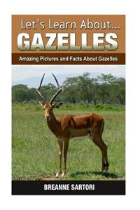 Gazelles: Amazing Pictures and Facts about Gazelles