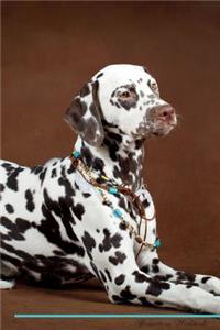 Dalmatian Affirmations Workbook Dalmatian Presents: Positive and Loving Affirmations Workbook. Includes: Mentoring Questions, Guidance, Supporting You.: Positive and Loving Affirmations Workbook. Includes: Mentoring Questions, Guidance, Supporting You.