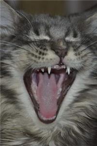 Maine Coon Cat Journal 