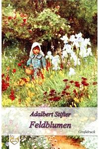 Feldblumen (Gro�druck)