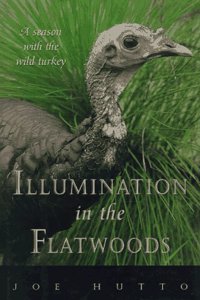 Illumination in the Flatwoods