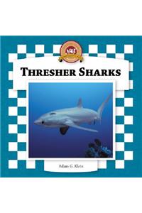 Thresher Sharks