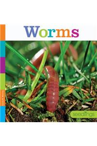 Worms
