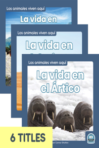 Los animales viven aquí (Animals Live Here) (Set of 6)