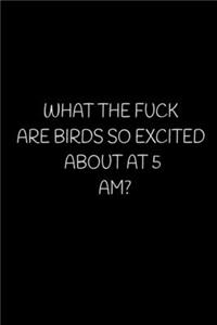 What the Fuck Are Birds So Excited about at 5 Am?