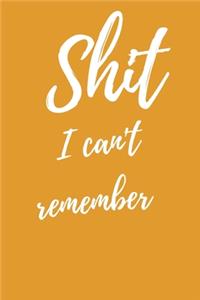 Shit I Can't Remember
