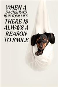 When a dachshund is in your life, there is always a reason to smile