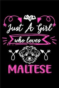 Just a girl who loves Maltese