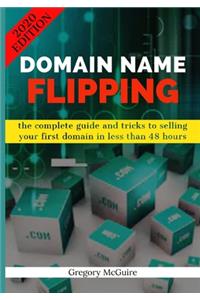 Domain name flipping