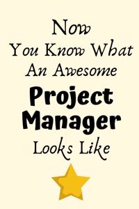 Now You Know What An Awesome Project Manager Looks Like