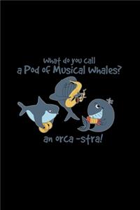 What do you call a pod of musical whales?