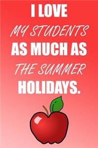 I Love My Students as Much as the Summer Holidays