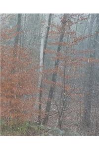 School Composition Book Autumn Woods Foggy Morning Late Fall Trees 130 Pages