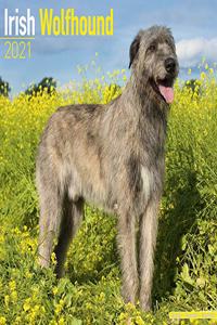 Irish Wolfhound 2021 Wall Calendar