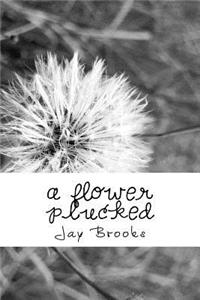 A flower plucked