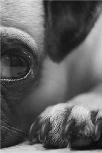 Pug Notebook