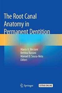 Root Canal Anatomy in Permanent Dentition