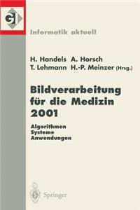 Bildverarbeitung Für Die Medizin 2001