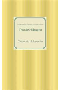 Trost der Philosophie