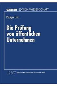 Die Prüfung von öffentlichen Unternehmen