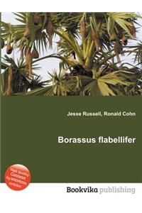 Borassus Flabellifer