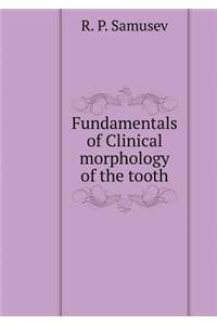 Fundamentals of Clinical morphology of the tooth