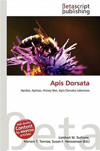 APIs Dorsata