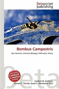 Bombus Campestris