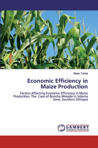 Economic Efficiency in Maize Production