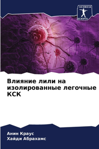 Влияние лили на изолированные легочные КС